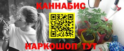 индика Кунгур