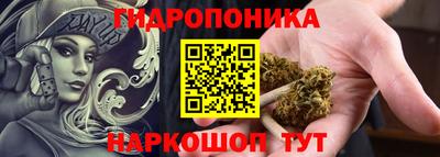 индика Кунгур