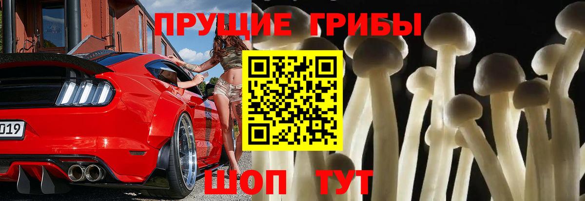Псилоцибиновые грибы мухоморы Когалым